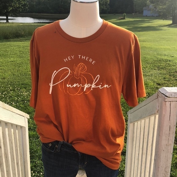 𝅺bella Canvas Hello Pumpkin T-Shirt NWT Size Large - Picture 1 of 5